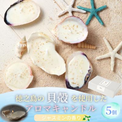 ふるさと納税 天城町 徳之島の貝殻を使用したアロマキャンドル 5個セット アロマキャンドル 貝殻 癒し 徳之島 天城町