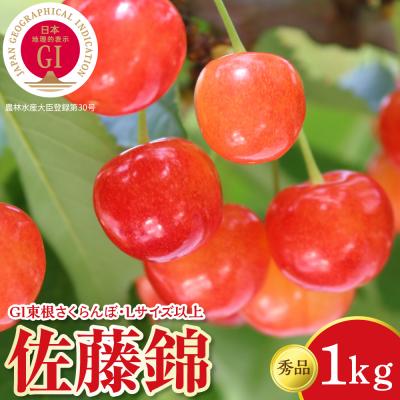 ふるさと納税 東根市 2026年産 GI東根さくらんぼ「佐藤錦」 秀品 Lサイズ以上 1kgバラ詰め hi097-014