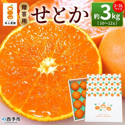 ふるさと納税 西予市 <せとか 約3kg 贈答用> 2〜3L 10〜12玉 柑橘 みかん laugh印 井上農園