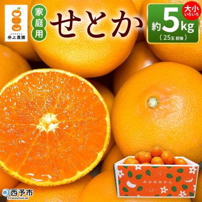 ふるさと納税 西予市 <せとか 約5kg 家庭用> 訳あり 不揃い 25玉前後 お試し laugh印 井上農園