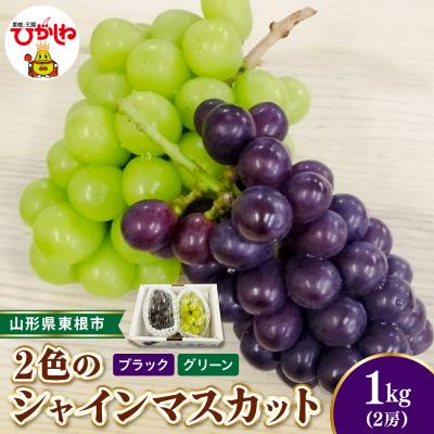 ふるさと納税 東根市 [2026年産] 2色のシャインマスカット ブラック&amp;グリーン 秀品 計2房 hi104-009