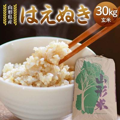 ふるさと納税 戸沢村 令和7年度 山形県産 はえぬき 玄米 30kg