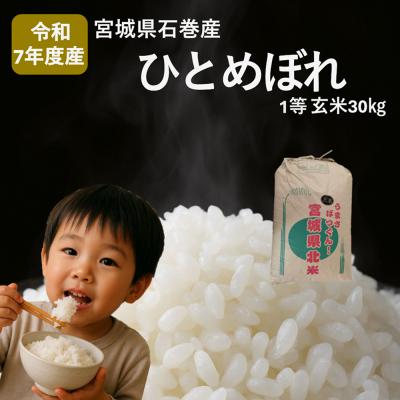 ふるさと納税 石巻市 米 ひとめぼれ 玄米 30kg 令和7年産 ヒトメボレ お米 ごはん ご飯 防災減災
