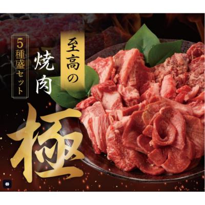 ふるさと納税 横浜市 焼肉 極 5種盛りセット 合計500g