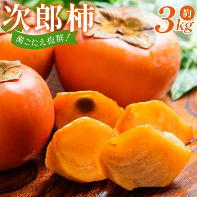 ふるさと納税 香南市 [2026年10月下旬より順次配送]次郎柿 3kg nm-0003