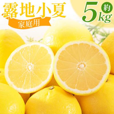 ふるさと納税 香南市 家庭用 露地 小夏 5kg 日向夏 nm-0005