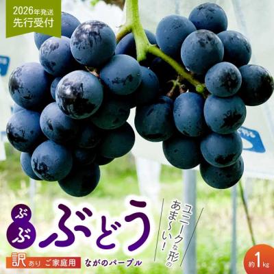 ふるさと納税 三原市 [2026年夏頃発送・先行受付] 訳あり ぶぶナガノパープル 1kg [233-002]