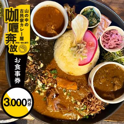 ふるさと納税 下呂市 [奔放]食事券(3,000円分)カレーホンポウ[a035-1]