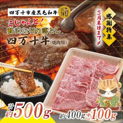 ふるさと納税 四万十市 [感謝・期間限定100g付き]四万十牛こじゃんと贅沢な切り落とし 焼肉用:3月31日まで受付