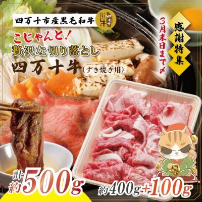 ふるさと納税 四万十市 [感謝・期間限定100g付き]四万十牛こじゃんと 贅沢な切り落とし すき焼用:3月31日まで受付