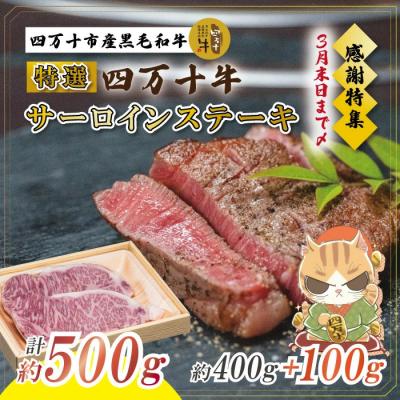 ふるさと納税 四万十市 [感謝・期間限定100g付き] 四万十牛 特選 サーロインステーキ 約500g:3月31日まで受付