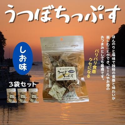ふるさと納税 美波町 漁師たつ兄のうつぼチップス3袋