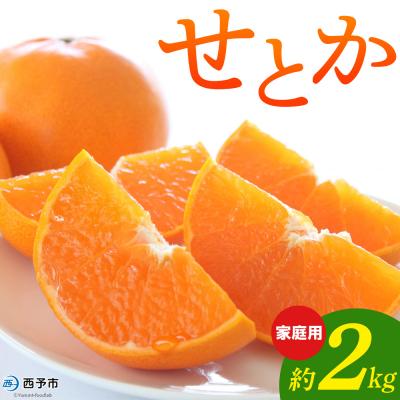 ふるさと納税 西予市 <せとか 家庭用 約2kg> 柑橘 みかん ミカン 蜜柑 果物 おれんじはーと 国産 大トロ