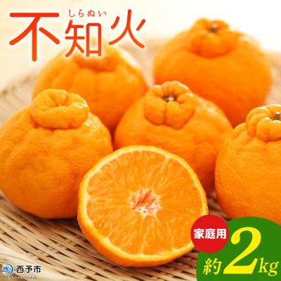 ふるさと納税 西予市 <不知火 家庭用 約2kg> 柑橘 みかん ミカン 蜜柑 果物 くだものおれんじはーと