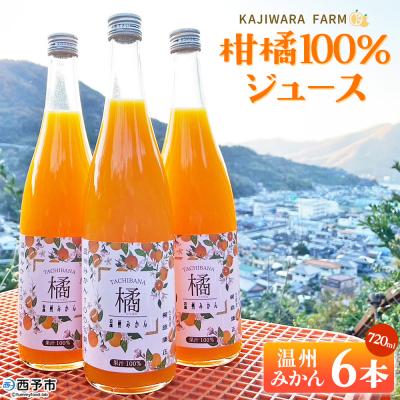 ふるさと納税 西予市 <柑橘100%ジュース (温州みかん6本 温州みかん)かじわらFARM