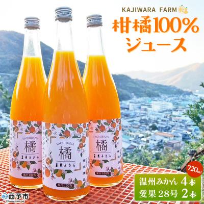 ふるさと納税 西予市 <柑橘100%ジュース温州みかん4本&amp;愛果28号2本かじわらFARMストレートジュース