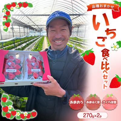ふるさと納税 小郡市 いちご食べ比べセット 1箱 (270g×2p) ※品種はおまかせ [No5354-2365]