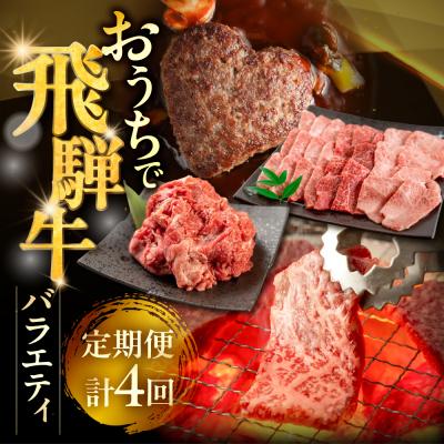 ふるさと納税 下呂市 [定期便 4回]飛騨牛バラエティ定期便 4ヵ月 焼肉 もも ハンバーグ[tc17]