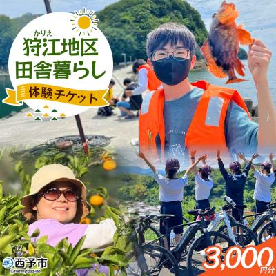 ふるさと納税 西予市 <狩江地区田舎暮らし体験チケット3,000円> 田舎 体験かりエンジョイ 愛媛県