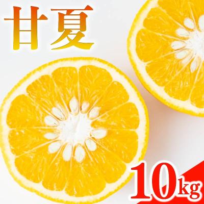 ふるさと納税 愛南町 甘夏 10kg みかん 蜜柑 果物 柑橘 フルーツ 傷 不揃い 高級 糖度 甘い ゼリー ジュース