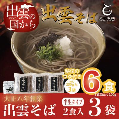 ふるさと納税 出雲市 創業百年老舗の味 児玉製麺「出雲半生そば(6人前)つゆ付き」