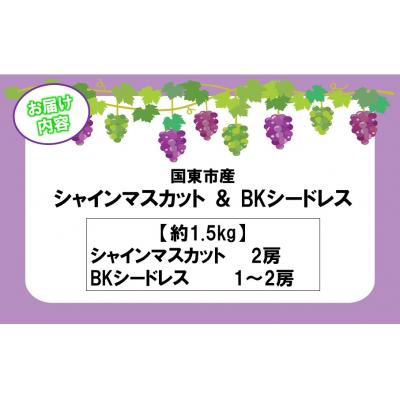 ふるさと納税 国東市 【令和8年発送】農家直送!朝づみシャインマスカット&BKシードレス種なし約1.5kg_2658R-2 |  | 03