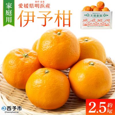 ふるさと納税 西予市 伊予柑 家庭用 約2.5kgギフト いよかん イヨカン 笑丸 愛媛 国産