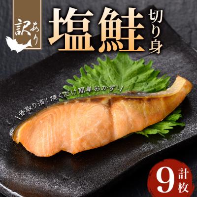 ふるさと納税 曽於市 [訳あり]骨取り塩鮭切身(9枚/約540g)