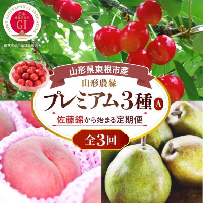 ふるさと納税 東根市 2026年 3回定期便 山形農縁プレミアム3種A〜さくらんぼ佐藤錦から始まる〜 hi082-065a