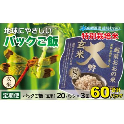 ふるさと納税 大野市 [3ヶ月定期便]地球にやさしいパックご飯 20食入り[玄米]× 3回 計60食 減農薬・減化学肥料