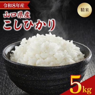 ふるさと納税 下関市 [先行予約] 令和8年産 こしひかり 5kg 山口県 下関市産
