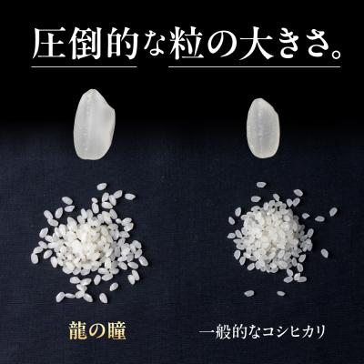 ふるさと納税 下呂市 【2025年産米】(2026年5月発送開始)【定期便】5kg×3回 飛騨産・龍の瞳【14-74】
