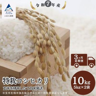 ふるさと納税 小松市 [3ヶ月定期便]特栽コシヒカリ 精米 白米 (玄米10kgを精米したて白米発送) 令和7年産