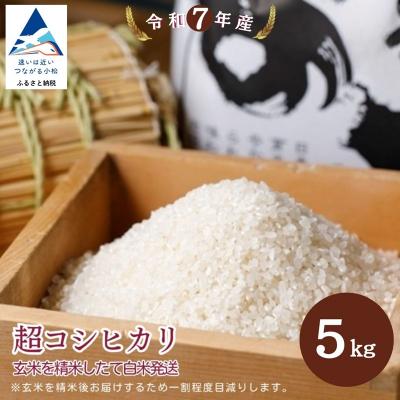 ふるさと納税 小松市 超コシヒカリ精米 白米(玄米5kgを精米したて白米発送) 令和7年産 こしひかり