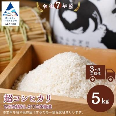 ふるさと納税 小松市 [3ヶ月定期便]超コシヒカリ精米 白米(玄米5kgを精米したて白米発送) 令和7年産 こしひかり