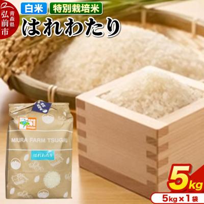 ふるさと納税 弘前市 米[特別栽培米]はれわたり 白米 5kg 青森県弘前市産|24_mft-030501