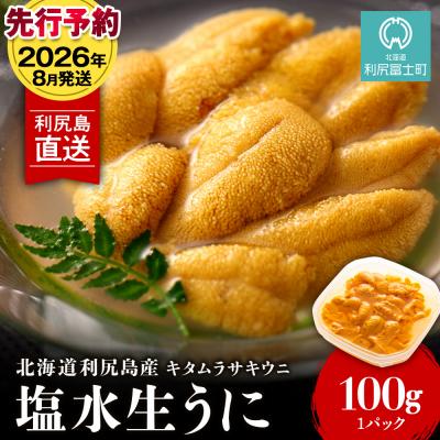 ふるさと納税 利尻富士町 [2026年8月発送]キタムラサキウニ 100g (100g×1パック) <利尻漁業協同組合>