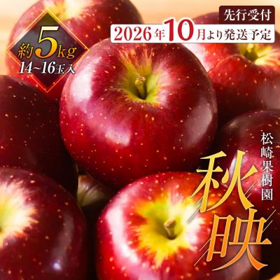 ふるさと納税 角田市 [2026年発送/先行予約]りんご「秋映」約5kg(14〜16玉)[松崎果樹園]