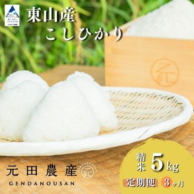 ふるさと納税 小松市 [先行予約][定期便]令和8年産 コシヒカリ 精米5kg×3ヶ月 お米 白米 こしひかり 元田農産