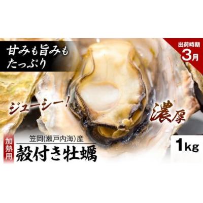 ふるさと納税 笠岡市 笠岡産殻付き牡蠣1kg(3月発送分) K-44a-3j