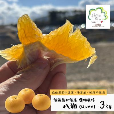 ふるさと納税 淡路市 淡路島北淡産 露地栽培はっさく -栽培期間中、農薬・除草剤・肥料不使用 - 約3kg