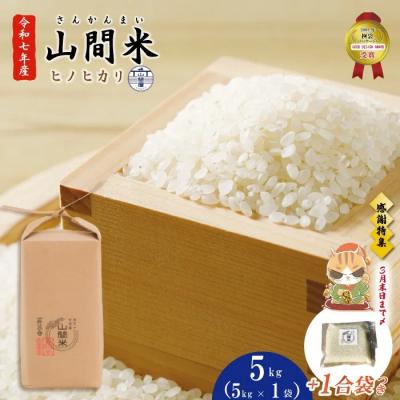 ふるさと納税 四万十市 [感謝 期間限定 1合袋付]四万十市産 山間米 ヒノヒカリ 5kg 1合袋付[3月末まで受付]