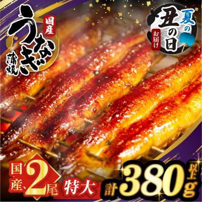 ふるさと納税 都農町 [夏の丑の日までにお届け!!]うなぎ蒲焼特大2尾(計380g以上)_T026-0061-US2