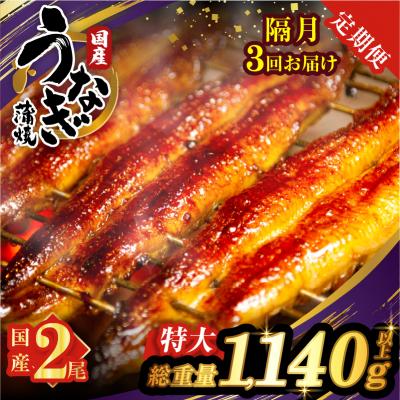 ふるさと納税 都農町 [3回隔月定期便]うなぎ蒲焼特大2尾(総重量1140g以上)鰻 国産_T026-0061-K