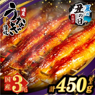 ふるさと納税 都農町 [夏の丑の日までにお届け!!]うなぎ蒲焼3尾(計450g以上) 鰻 国産_T026-014-US2