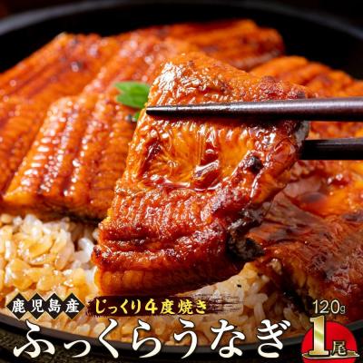 ふるさと納税 大崎町 うなぎ 蒲焼 120g×1尾[鹿児島産]地下水で育てた逸品鰻