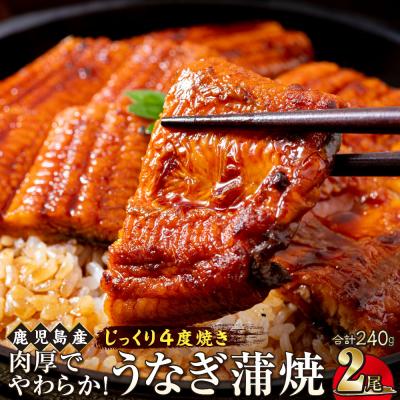 ふるさと納税 大崎町 うなぎ 蒲焼 120g×2尾[鹿児島産]地下水で育てた逸品鰻