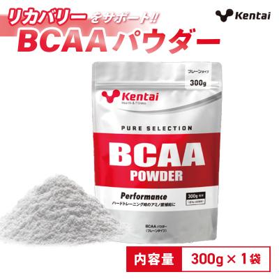 ふるさと納税 伊豆市 [健康体力研究所]BCAAパウダー(300g×1袋)| アミノ酸 補給 筋肉 サポート