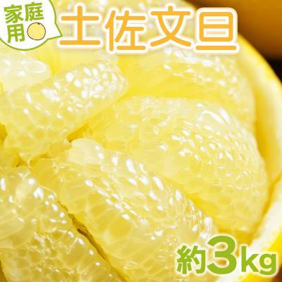 ふるさと納税 香南市 土佐文旦 家庭用 3kg 大小混合(サイズ:L〜3L) yk-0071