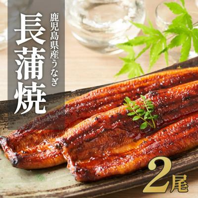 ふるさと納税 大崎町 ふるさと納税限定 鹿児島県大崎町産 国産 うなぎ長蒲焼 2尾 計320g以上